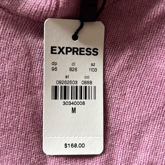 Express Solid Cashmere Hoodie New NWT - Picture 5 of 5